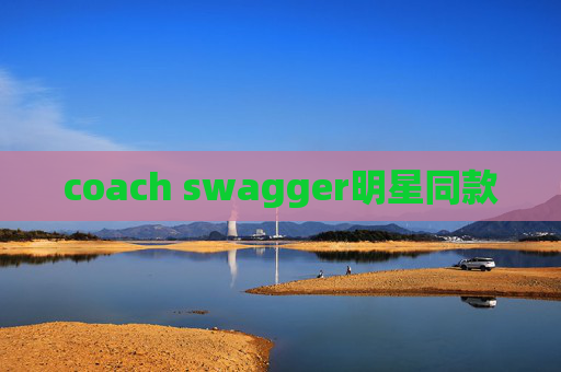 coach swagger明星同款